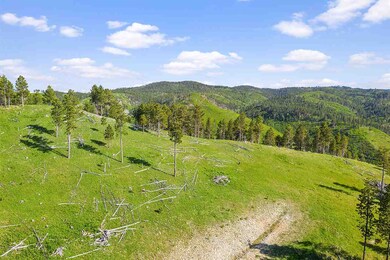 Lot 38 Golden Hills, Deadwood, SD 57732 - photo 7