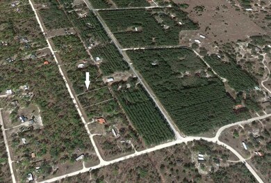 0 Royal Oak Dr unit 319399, Perry, FL 32348 - photo 3