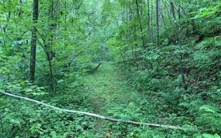 00 Cajun Ln - Lot 232, Ellijay, GA 30540 - photo 2