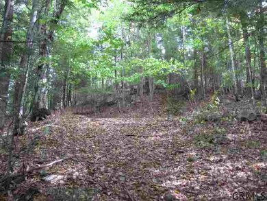 57 Horse Hill Rd, Hadley, NY 12835 - photo 4