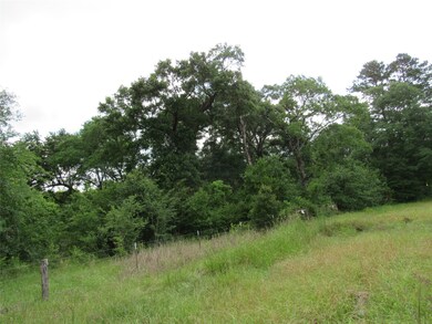 30090 Joseph Rd, Hockley, TX 77447 - photo 6