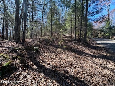 864 Stonegate Way, Townsend, TN 37882 - photo 5