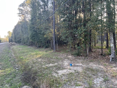 14333 Springfield Rd, Walker, LA 70785 - photo 2