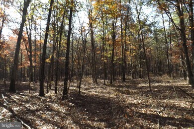 10 S Branch Rd, Levels, WV 25431 - photo 5