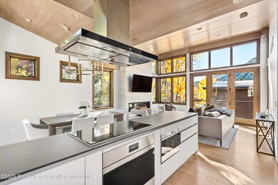 522 Spruce St, Aspen, CO 81611 - photo 7