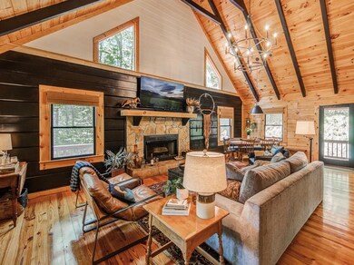 282 Papa Bear Path, Cherry Log, GA 30522 - photo 3