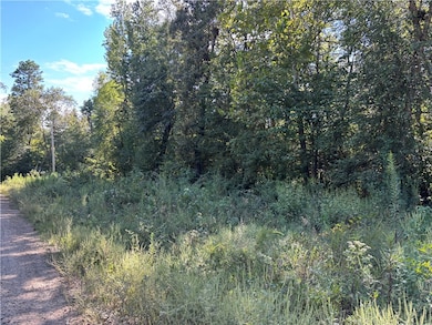 000 Quicker Still Ln, Dover, AR 72837 - photo 2