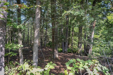 Lot 56-3 Ossipee Mountain Rd, Ossipee, NH 03814 - photo 4