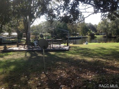back yard