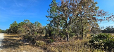 16392 Curlew Rd, Brooksville, FL 34614 - photo 2