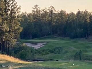 3680 Sage Ln, Show Low, AZ 85901 - photo 4