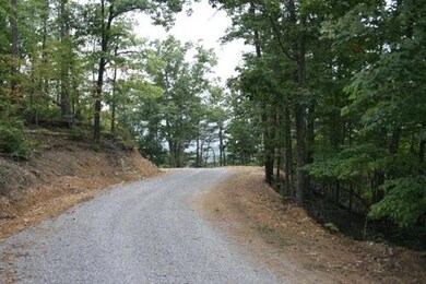 Existing Road thru Property 01