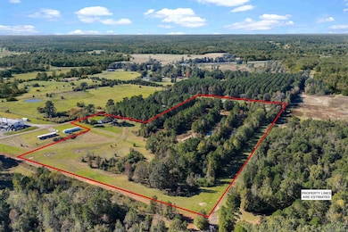 303 Cr 306, Beckville, TX 75631 - photo 6