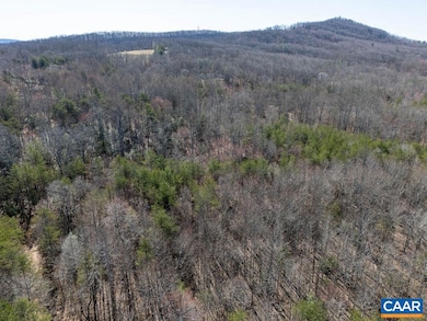 0 Frays Mill Rd unit 667906, Advance Mills, VA 22968 - photo 7