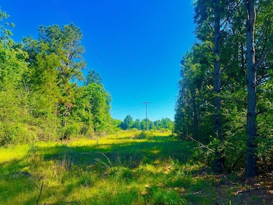 TBD Lewis Ln, Gloster, MS 39638 - photo 4