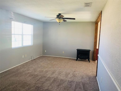 409 N Texas St, Celina, TX 75009 - photo 5