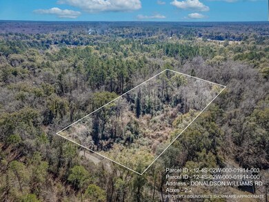 TBD Donaldson-Williams Rd, Crawfordville, FL 32327 - photo 4