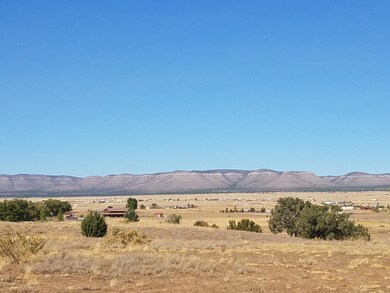 25225 N Maraiah Ln, Paulden, AZ 86334 - photo 3