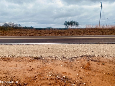 0 Saint Anne Rd, Carthage, MS 39051 - photo 5