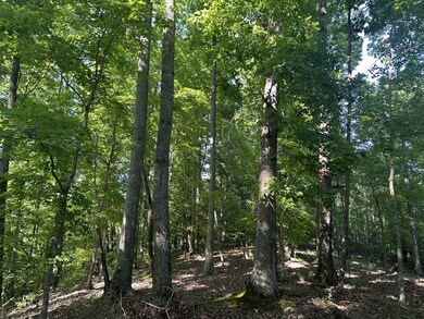 0 Highway 412 E, Linden, TN 37096 - photo 5