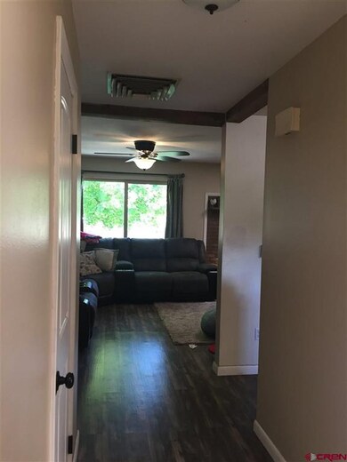 256 SW 8th Cir, Cedaredge, CO 81413 - photo 4