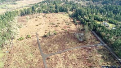 0 Gooseneck (Parcel #289476) Rd, Sheridan, OR 97378 - photo 4
