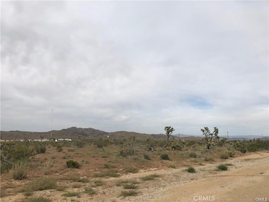 6650 La Contenta Rd, Yucca Valley, CA 92284 - photo 2