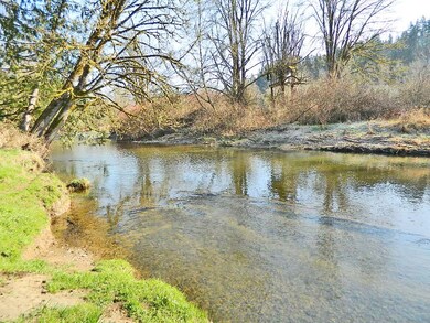 16213 S Prairie Creek Rd E, Orting, WA 98360 - photo 3