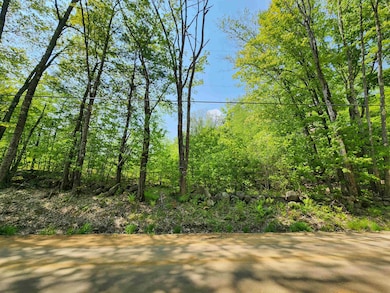 427 Shaker Rd, Loudon, NH 03307 - photo 6