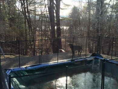 The back yard, complete with...