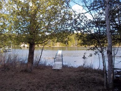 Dock on the Black River