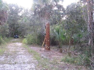 canaveral_prop02