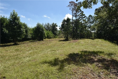 415 + lots 350,370 Jenkins Farm Rd, Brunswick, GA 31523 - photo 7