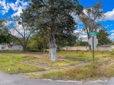 0 7th Ave W, Linden, AL 36748 - photo 4