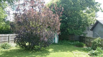 Back Trees 2