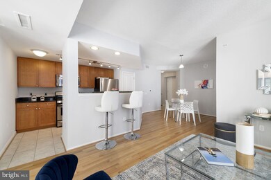 The Crescent unit 410, Silver Spring, MD 20910 - photo 2