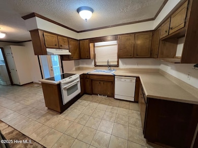 Kitchen View 2