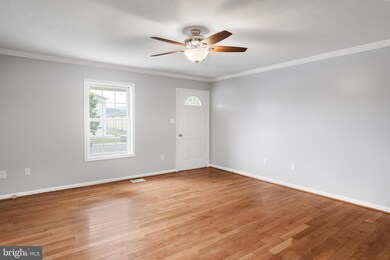 260 Aileen Ave, Strasburg, VA 22657 - photo 5