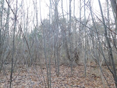 DSCN1189_2324