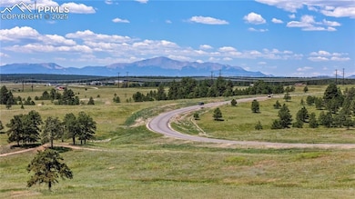 10490 Alamar Way, Black Forest, CO 80908 - photo 3