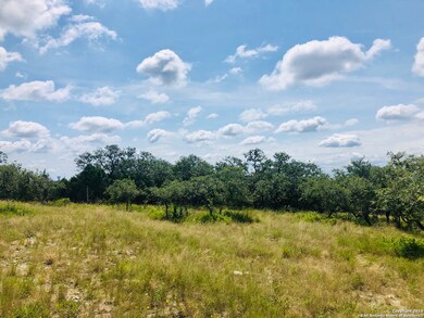 23215 Linwood Ridge, San Antonio, TX 78255 - photo 3