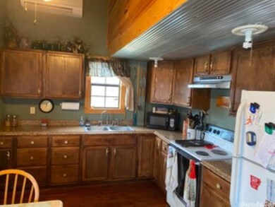 525 Pleasant Run Rd 59 3 Acres + -, Mammoth Springs, AR 72542 - photo 7