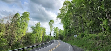 0 Bailes Rd, Nettie, WV 26681 - photo 5