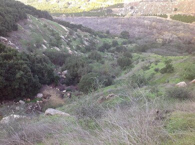 32733 Mesa Lilac Rd, Escondido, CA 92026 - photo 3