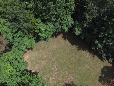 DJI_0061