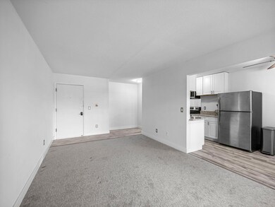 4407 Wilshire Blvd unit 204, Mound, MN 55364 - photo 6