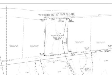 Theodore Lot Survey