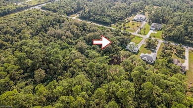 0 32nd Ave SE unit 225082220, Naples, FL 34117 - photo 4