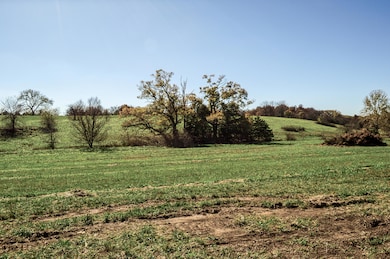 DSC_0013 (1)