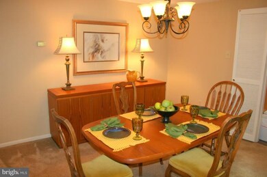 6052 Misty Arch Run, Columbia, MD 21044 - photo 3